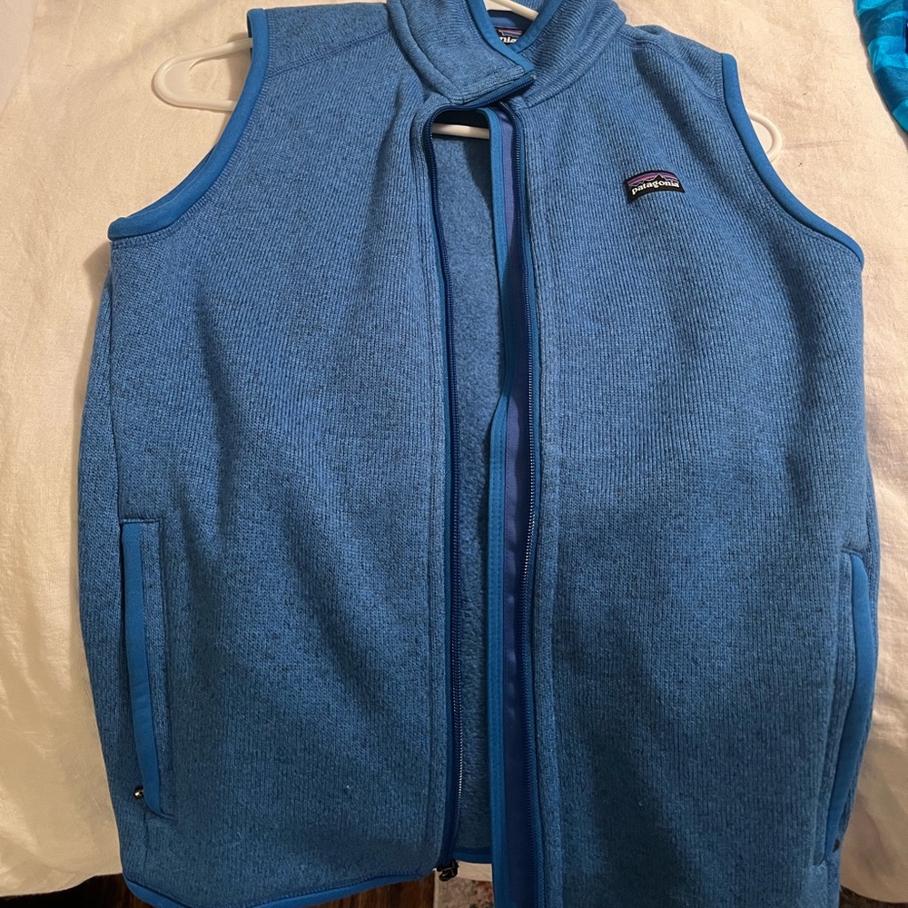 Patagonia vest